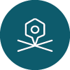 cadastre